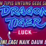 MAIN DRAGON TIGER, HOKI DAN MAXWIN DATANG BERSAMA